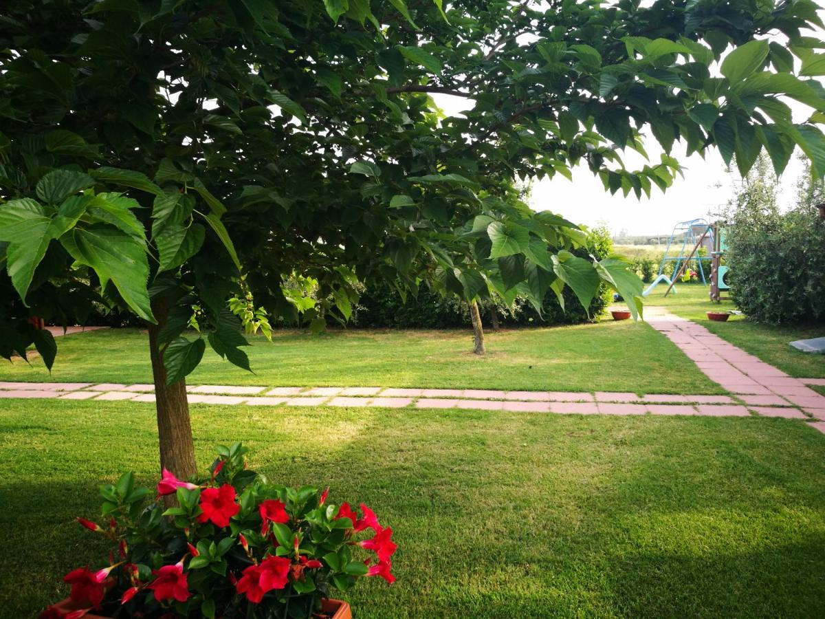 Agriturismo Alturetta Риоторто Екстериор снимка